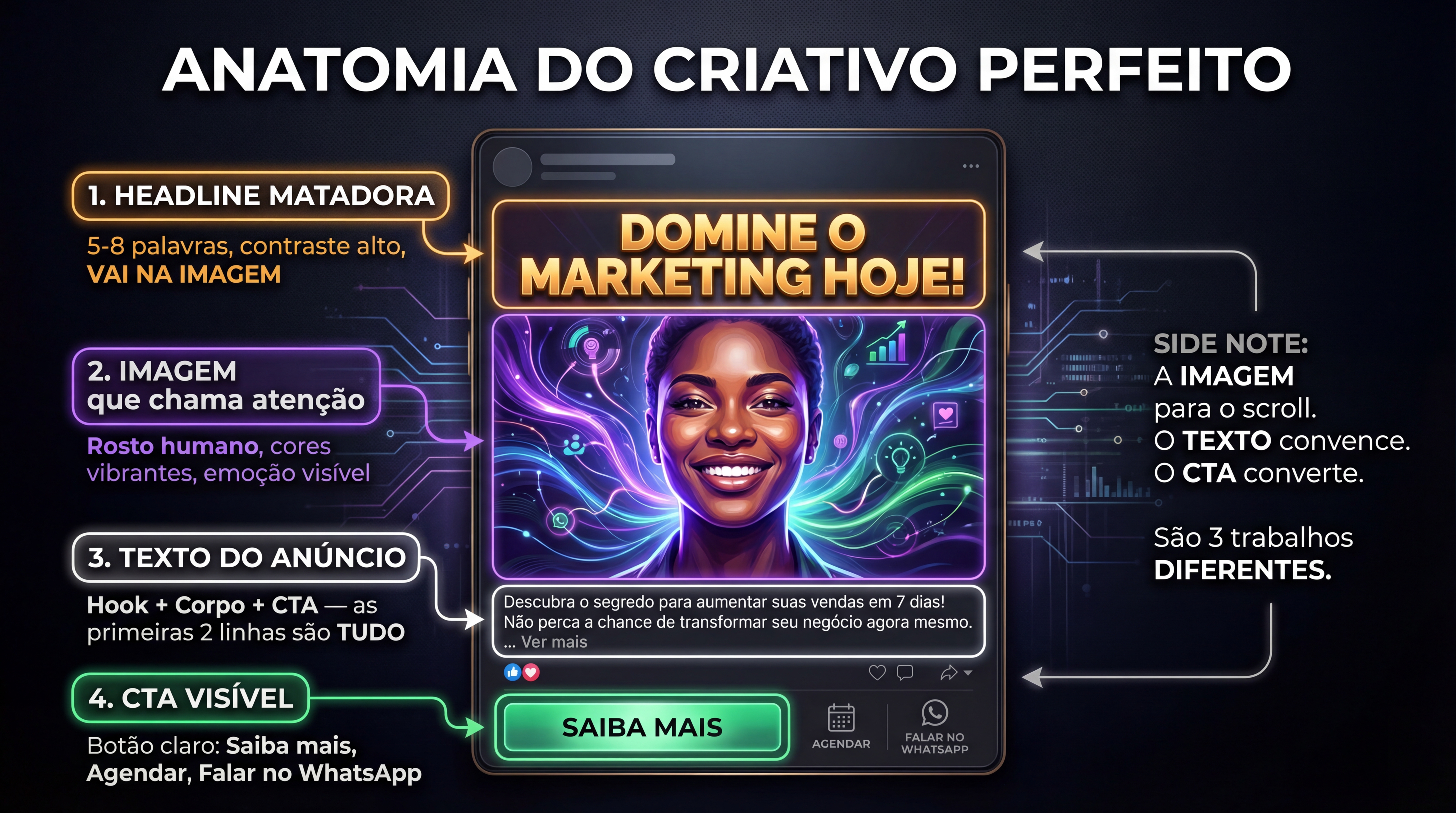 Anatomia do Criativo Perfeito